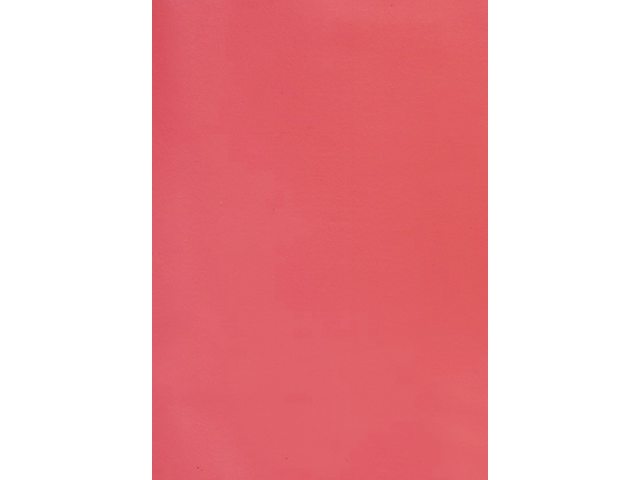 Voorblad GBC A4 PVC 180micron rood 100stuks