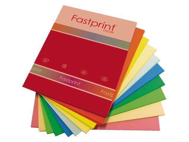 Kopieerpapier Fastprint A4 160gr 10kleuren x5vel